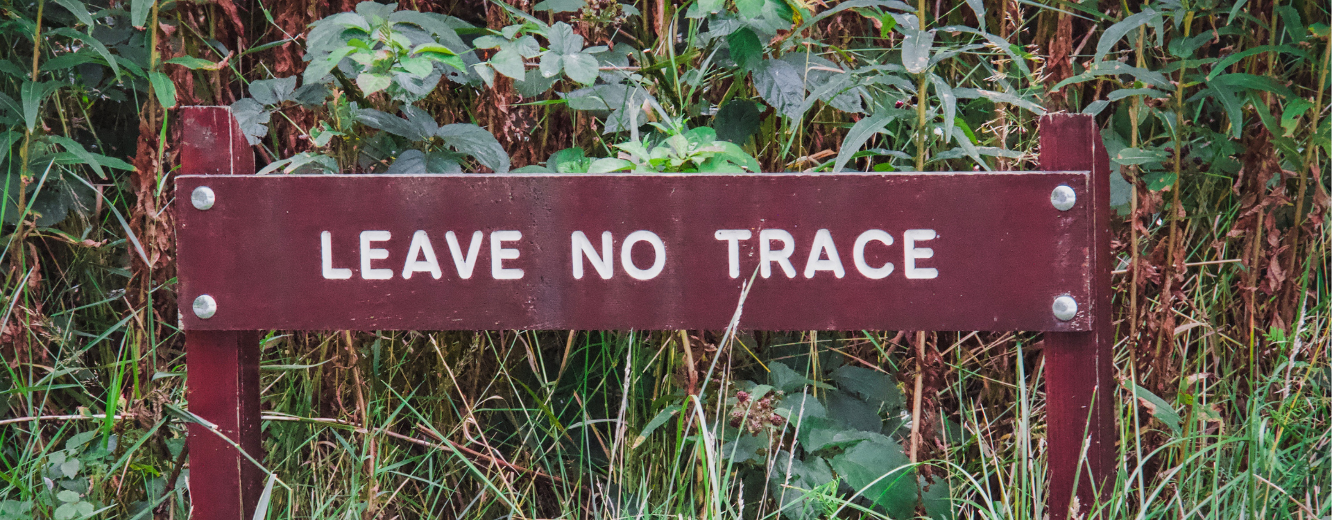 leave no trace while backpacking new mexico