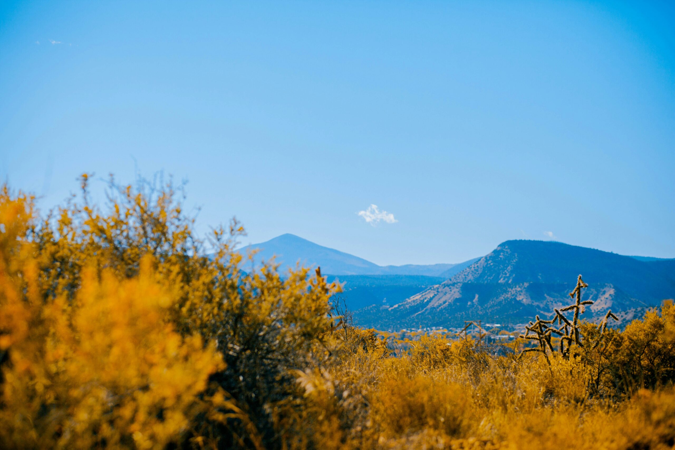 views of the mountains during fall